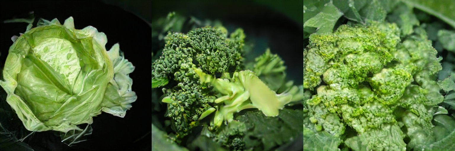 Broccoli and Cabbage interpolation